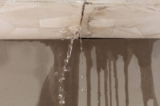 Professional Structural Drying technician working in Lafferty, OH